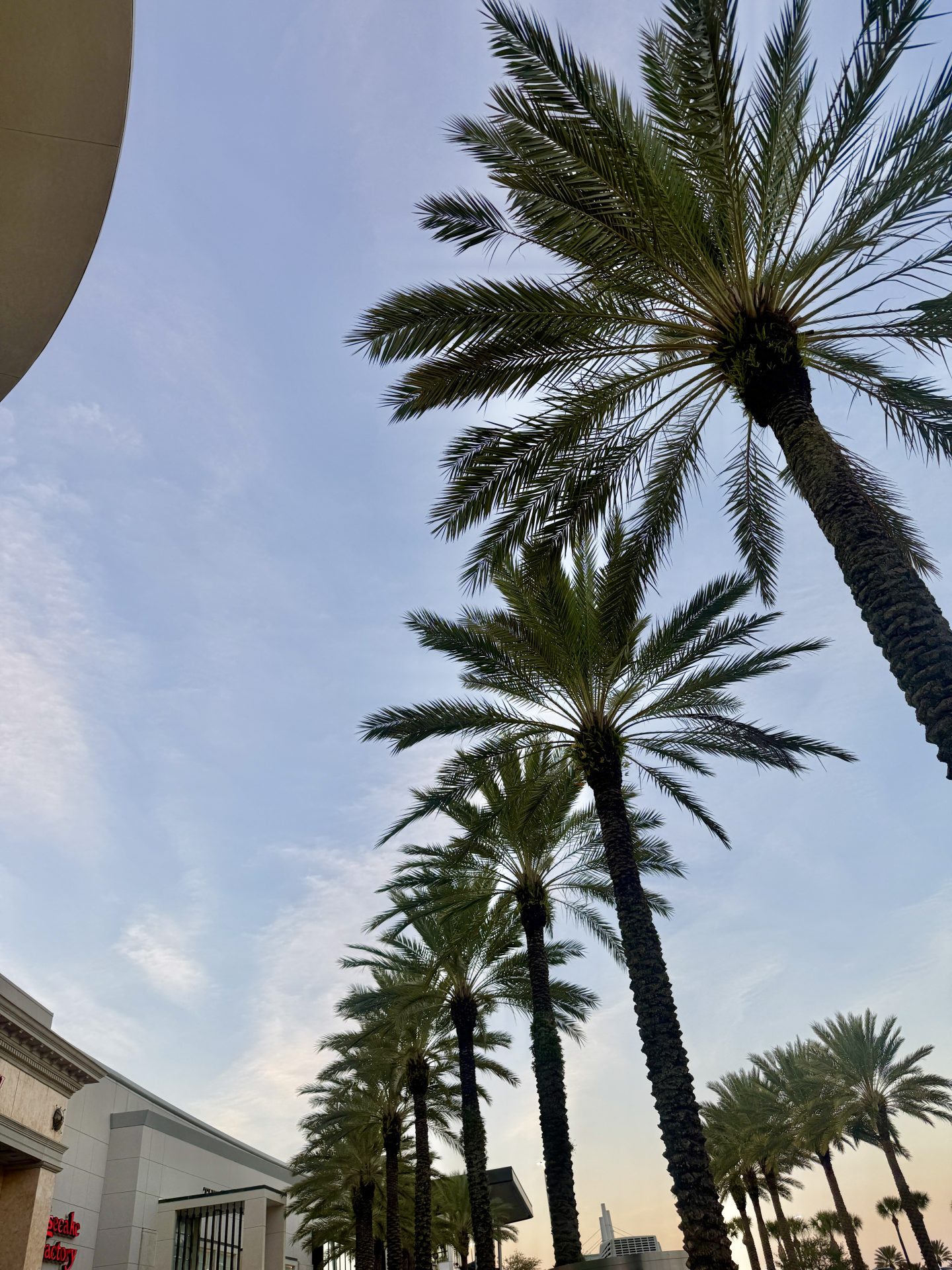 How Florida’s Weather Risks Influence Construction Insurance Coverage